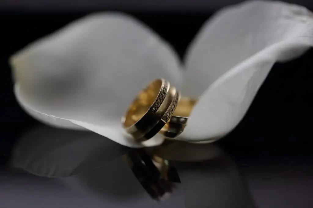Golden wedding rings in white blossoms