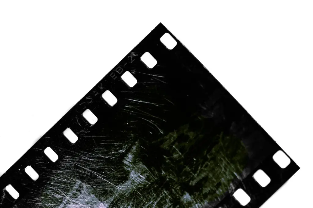 Detail of photographic film